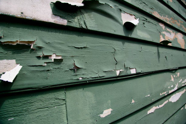 Best Same-Day Junk Removal Services  in Mokuleia, HI